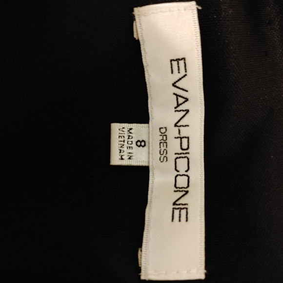 Evan Picone dress - Picture 4 of 4